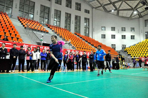 航泰杯職工羽毛球團體賽圓滿落幕，飾品銷售助力賽事氛圍